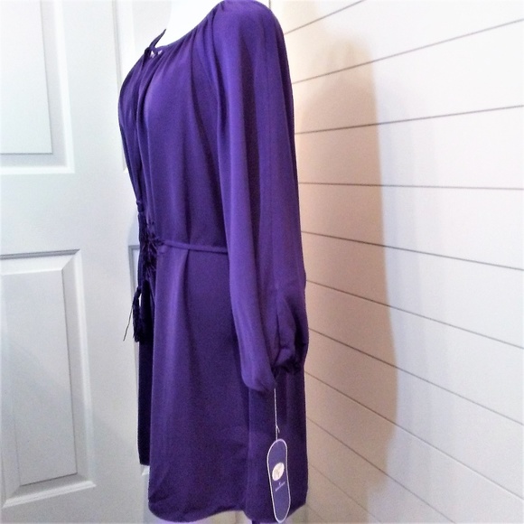 Diane Gilman Tunic Style Dress Purple Size M NWT - Picture 7 of 8